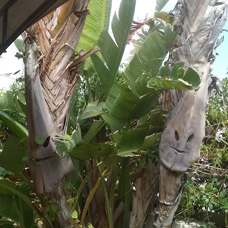 Long Beach Garden Villa *